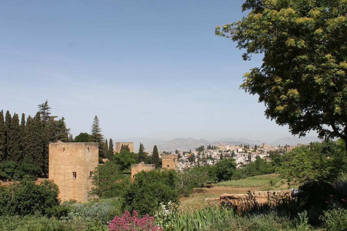 ALHAMBRA-36