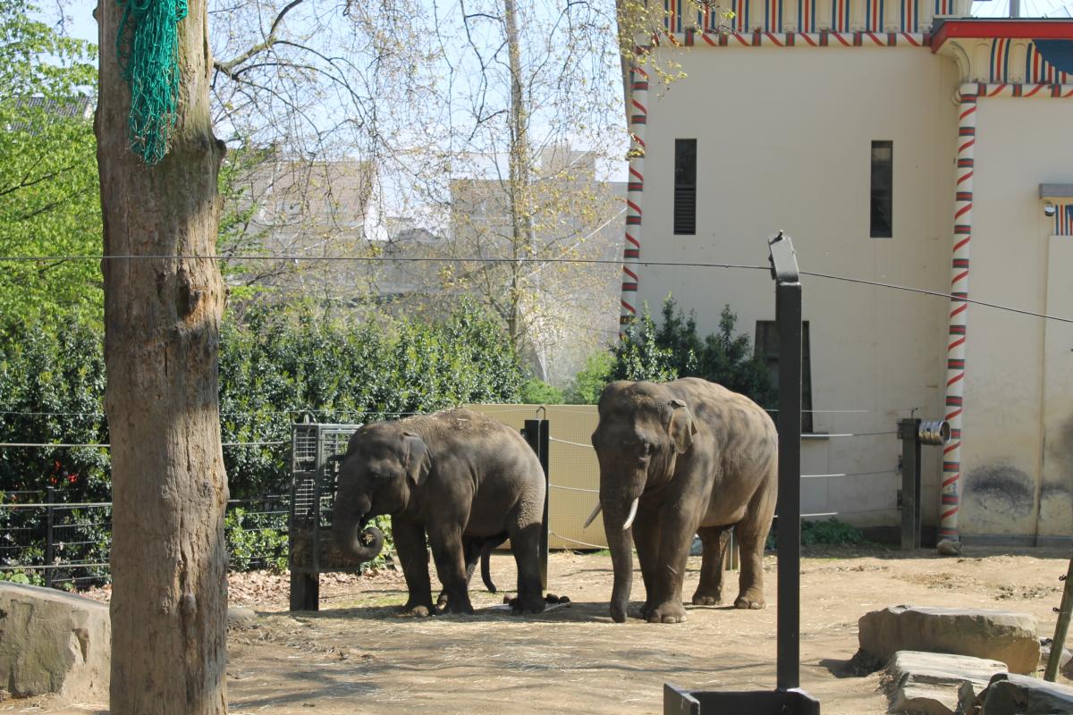 AntwerpZoo-31