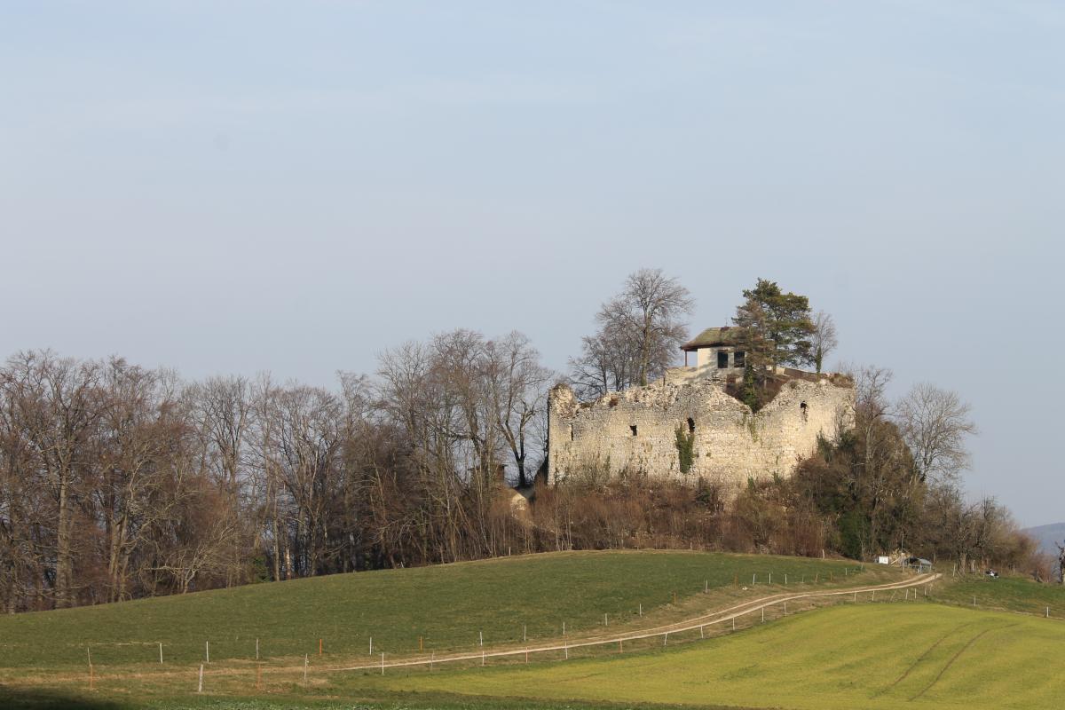 Basel-Liestal (41)