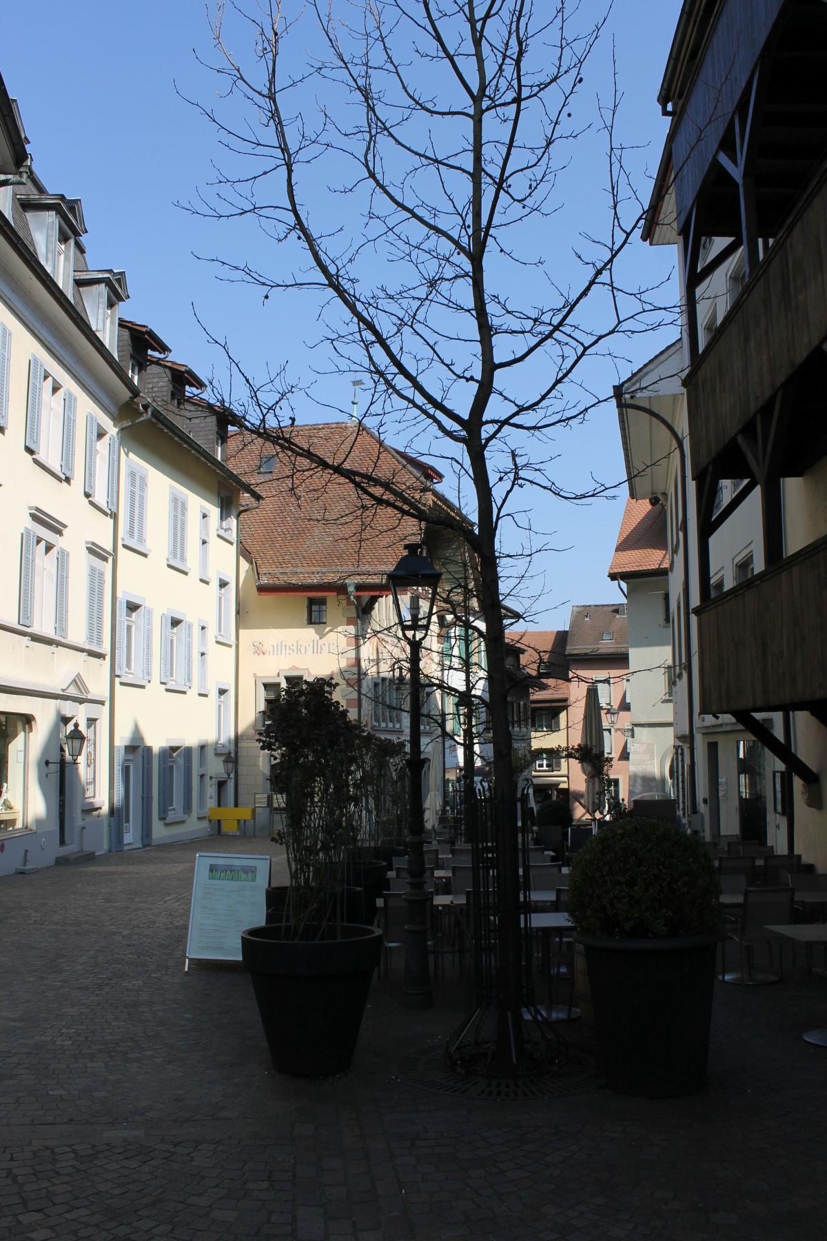 Olten (8)