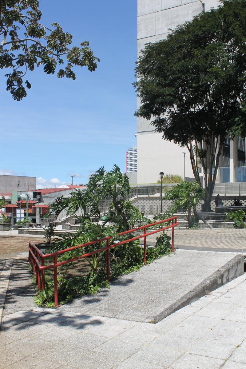 PaseoSanJose (11)