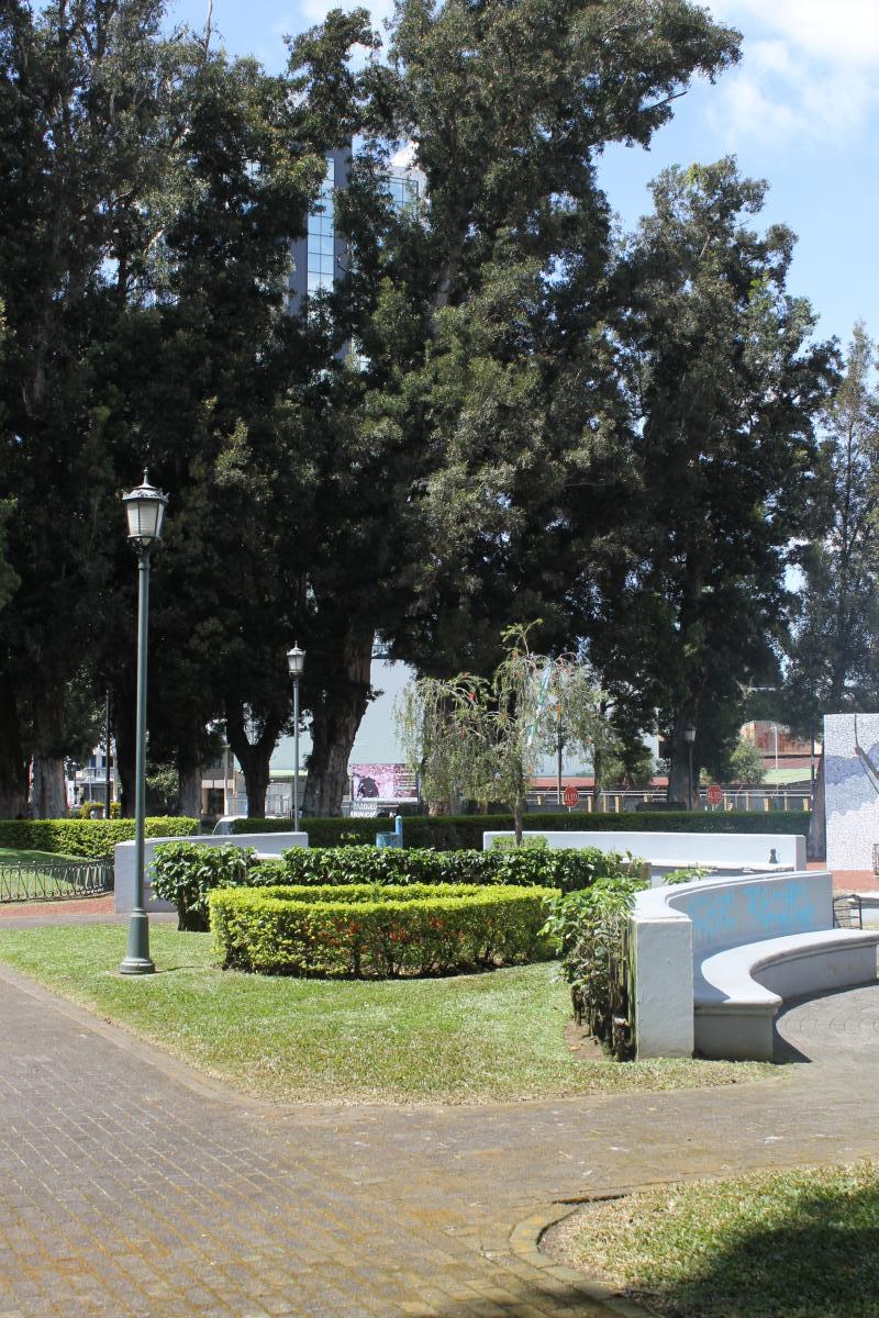 PaseoSanJose (16)