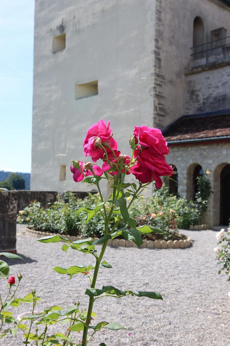 SchlossLenzburg-23