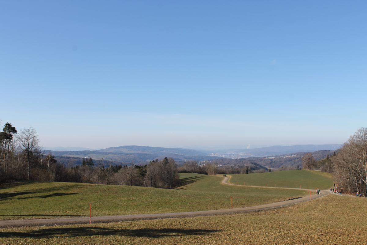 UETLIBERg (22)