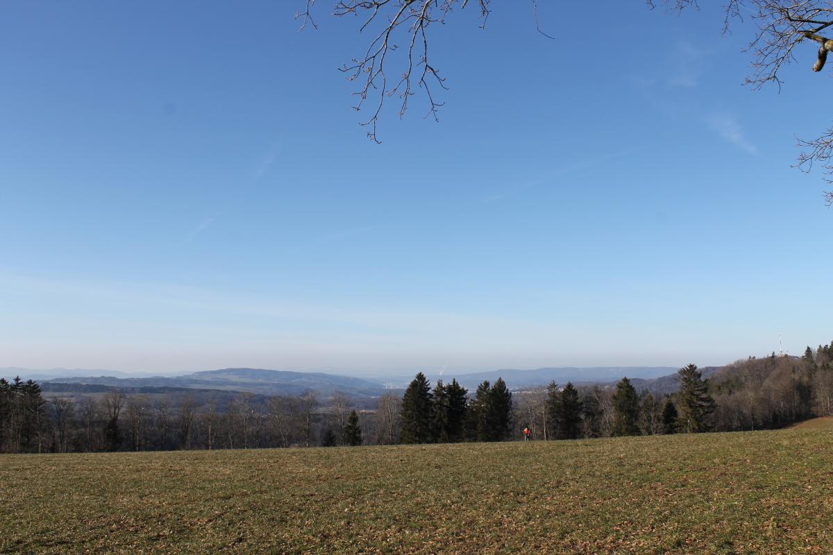 UETLIBERg (24)