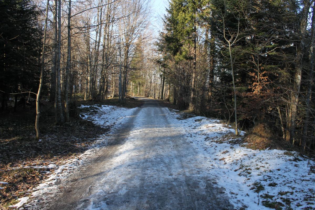 UETLIBERg (26)