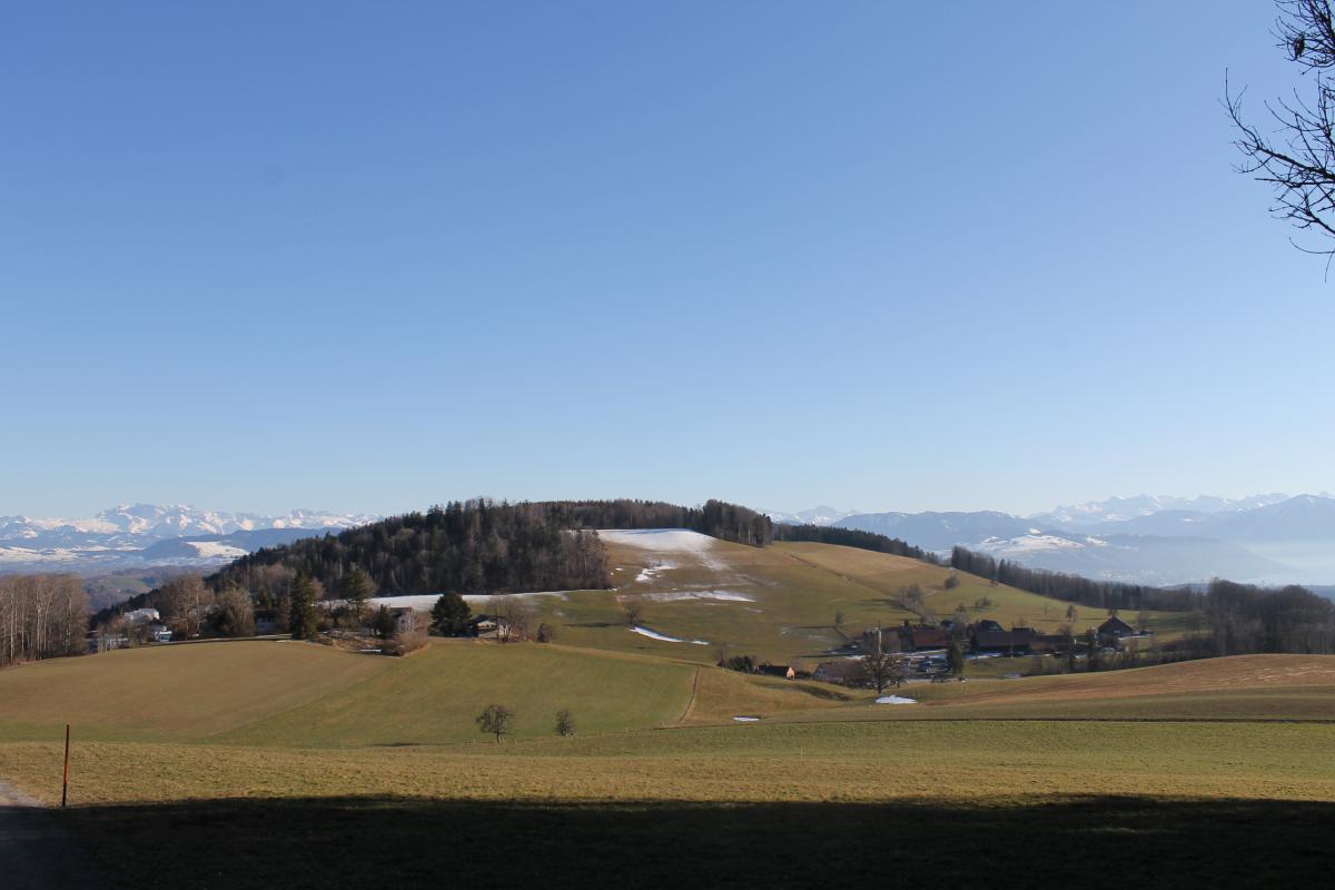 UETLIBERg (28)