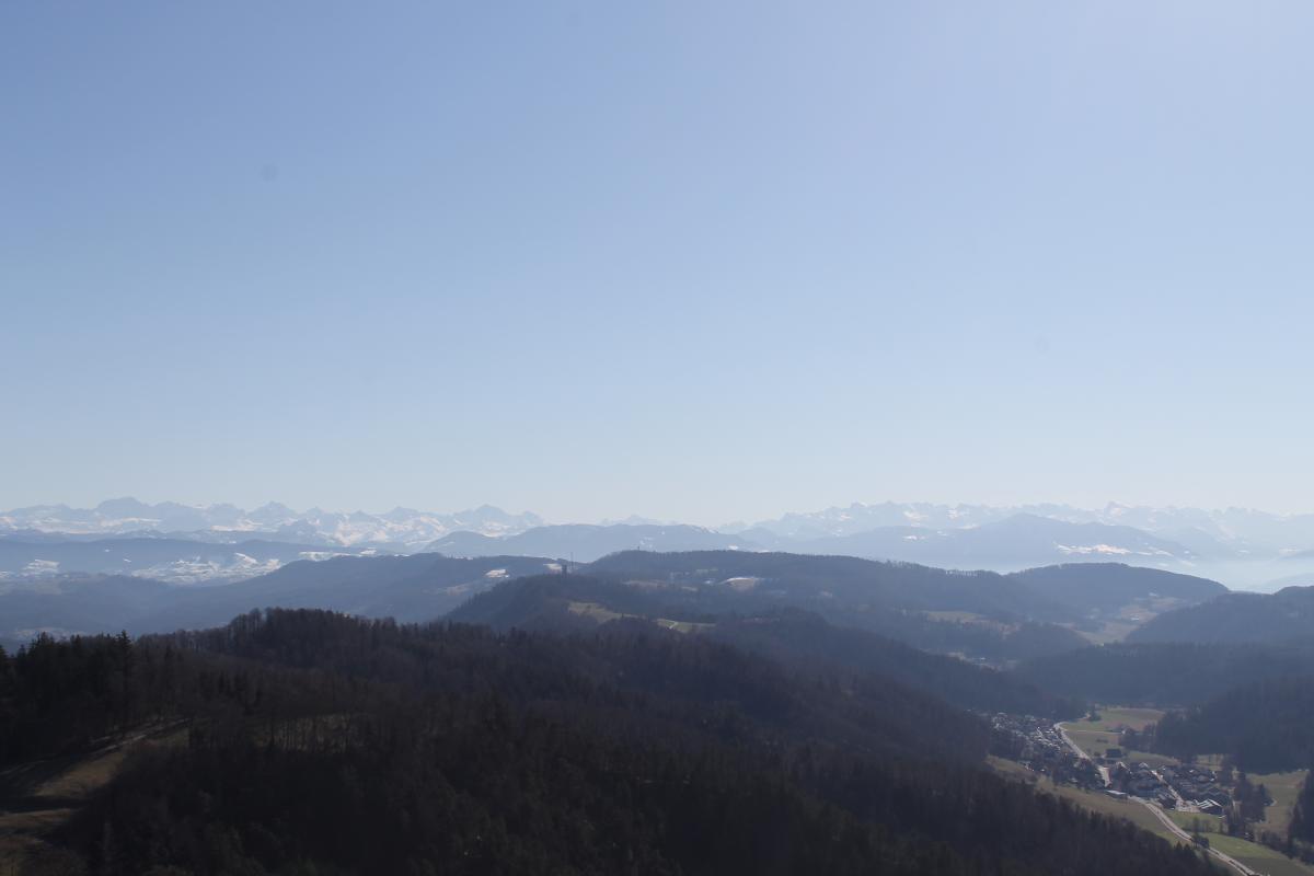 UETLIBERg (6)