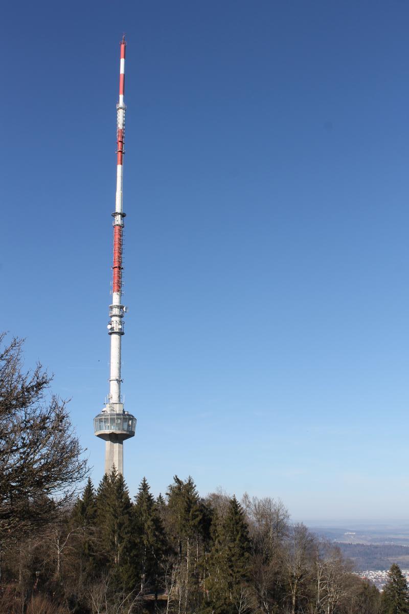 UETLIBERg (8)