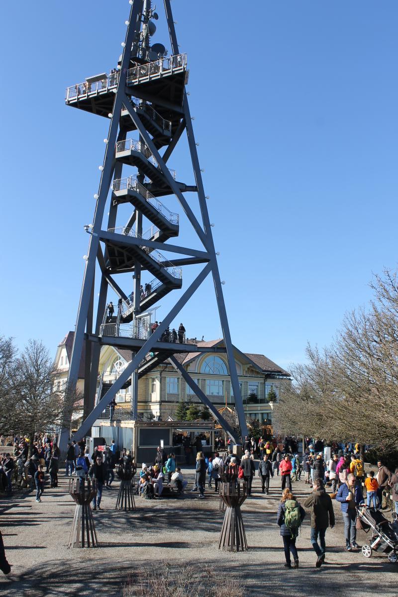 UETLIBERg (9)