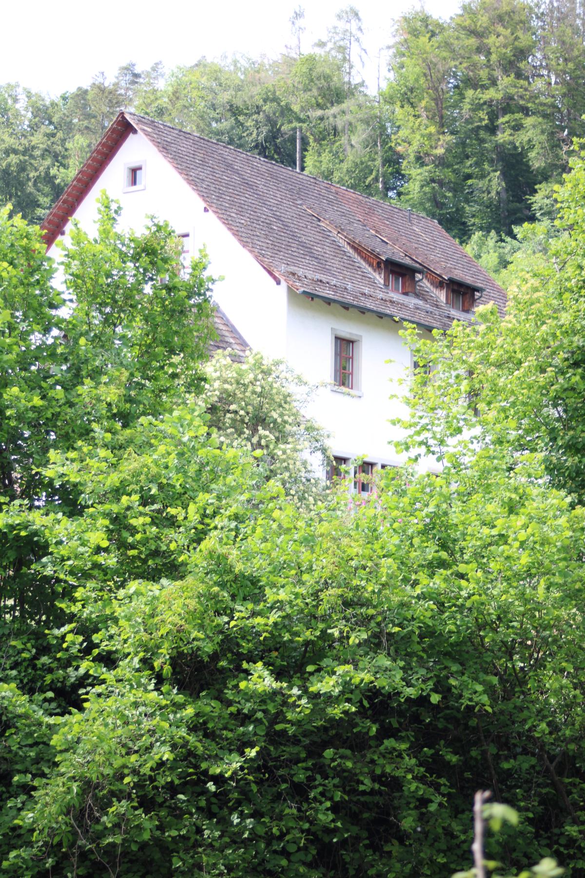 ittingen (29)